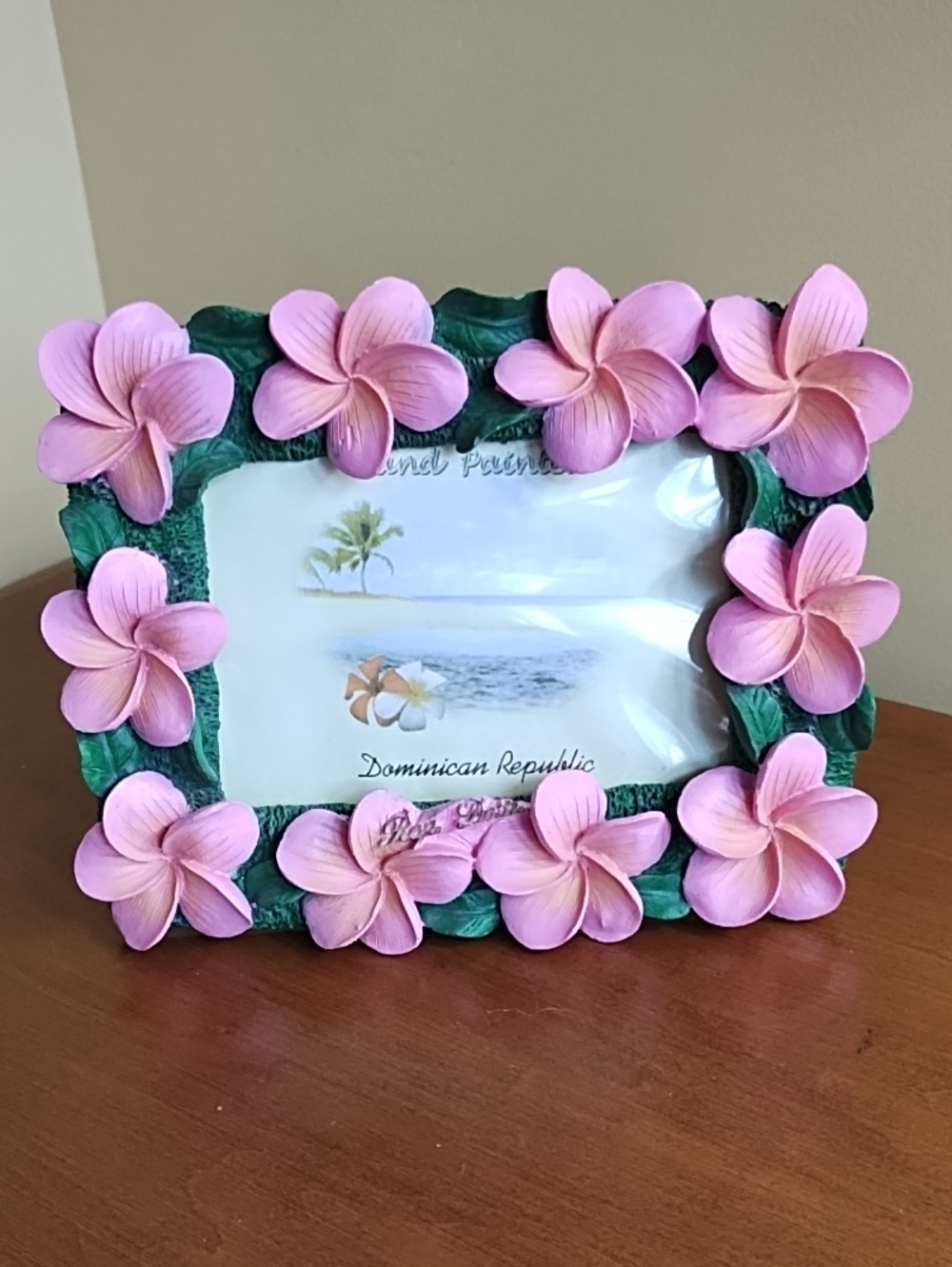 Dominican Republic Tropical Plumeria Frangipani Beach Souvenir Photo Frame 4x6